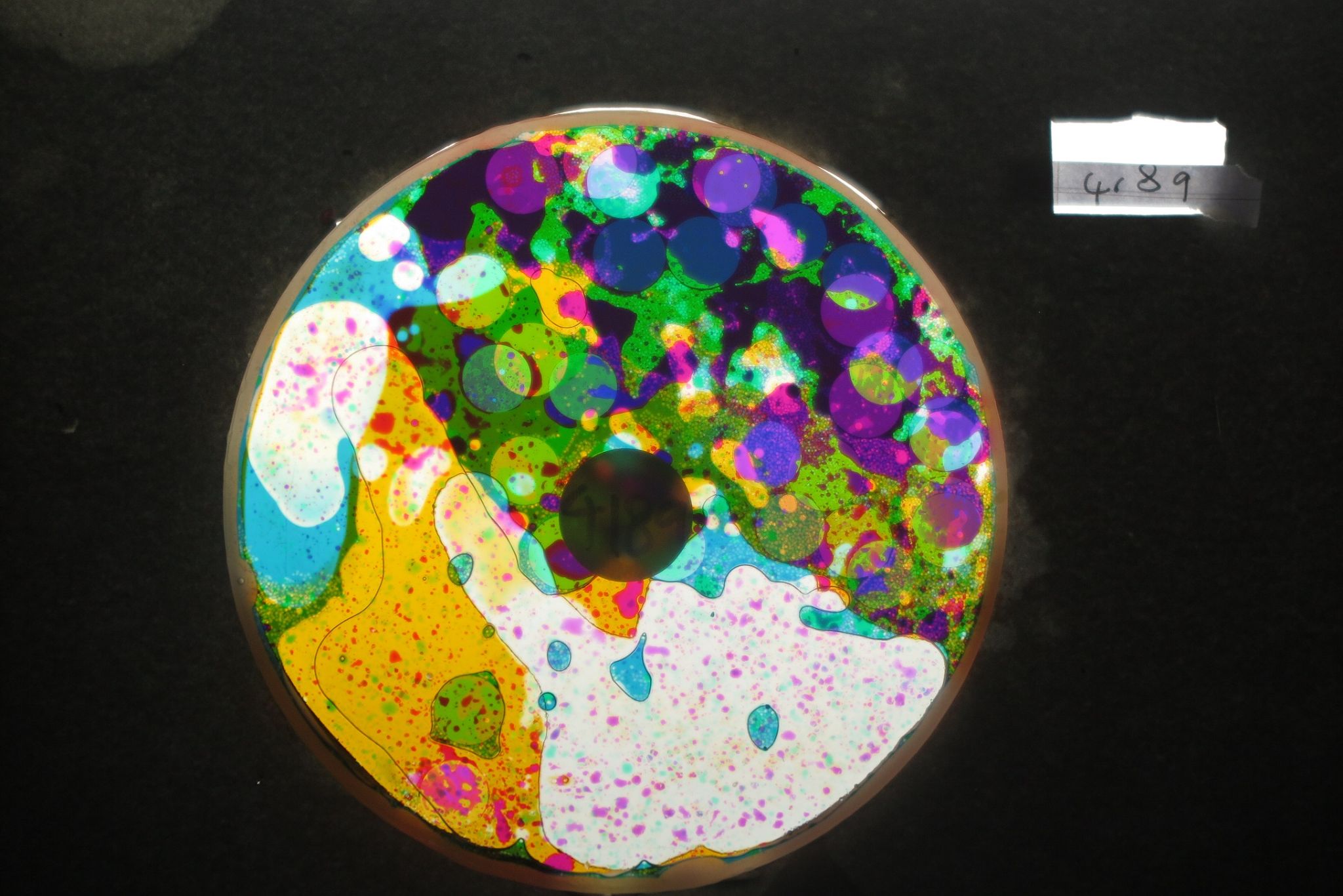 BV4189 bubble vision oil wheel